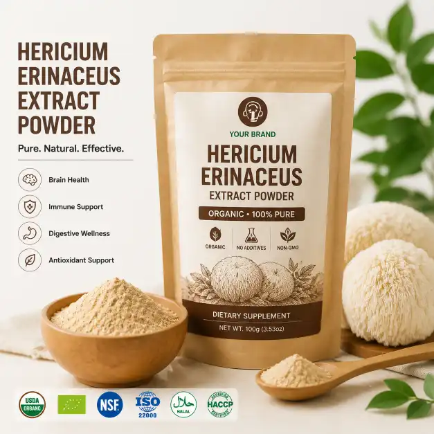 Hericium Erinaceus Extract Powder: Dosage, Science & How to Choose